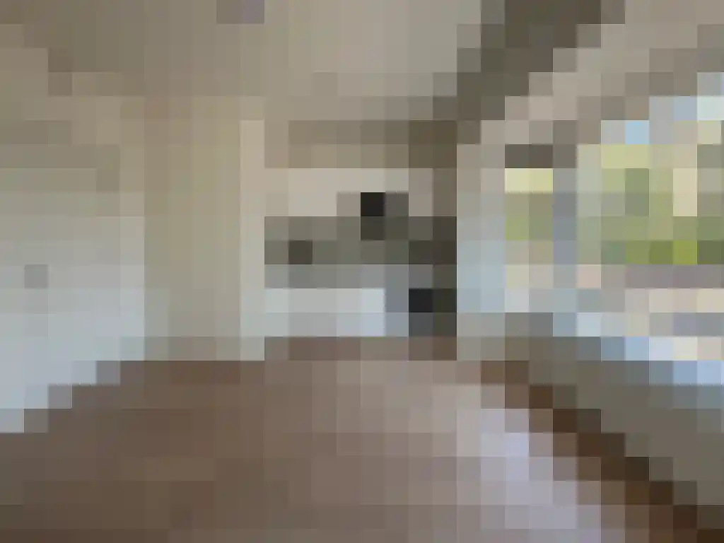 Hamburgerstraat 2 Groningen thumbnail 4