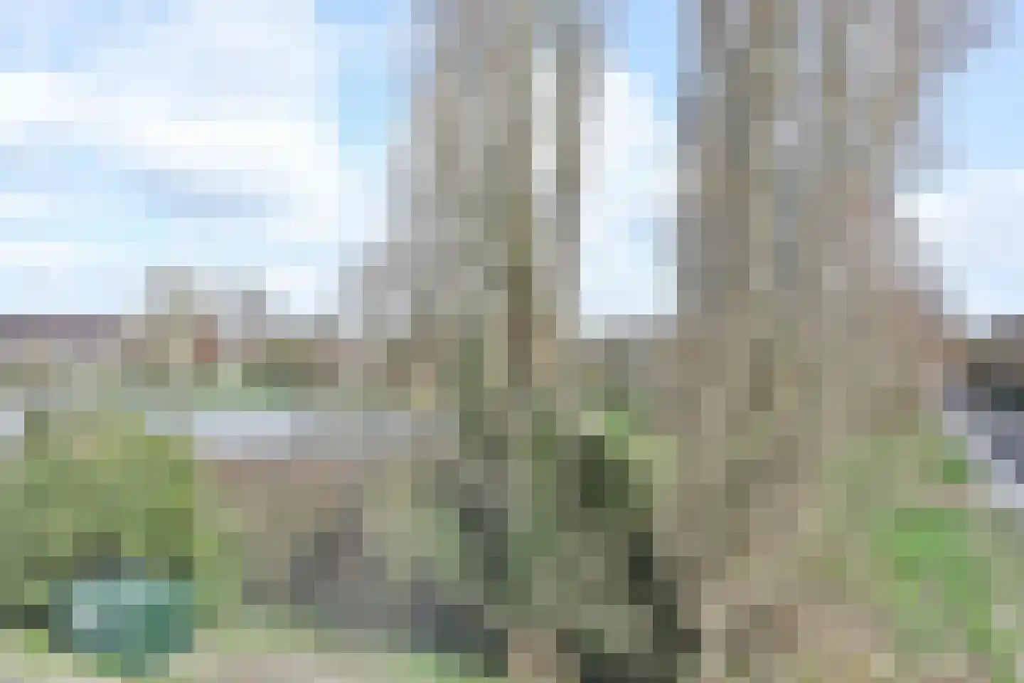Hamburgerstraat 20 b Groningen thumbnail 21