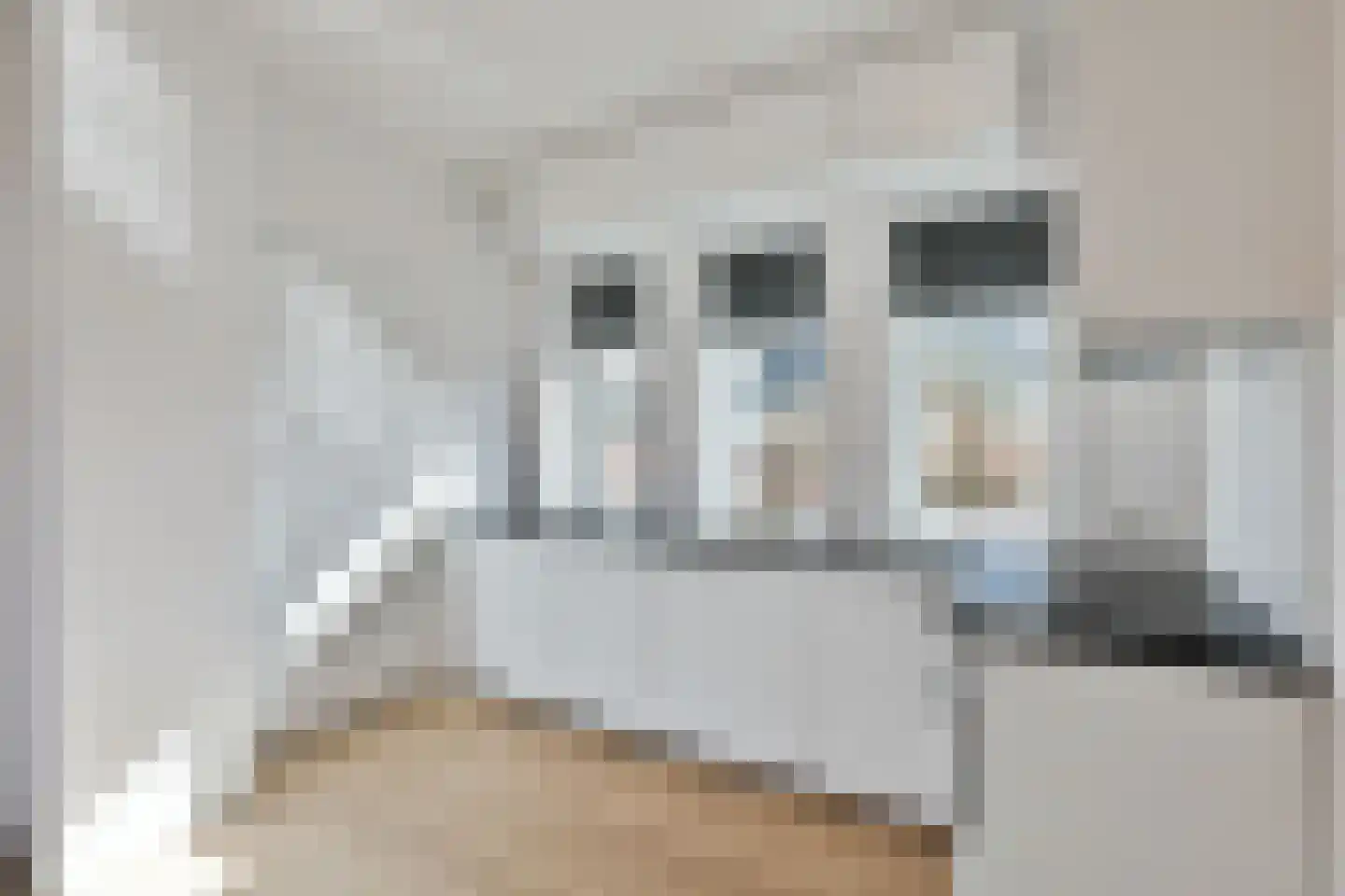 Hamburgerstraat 20 b Groningen thumbnail 66
