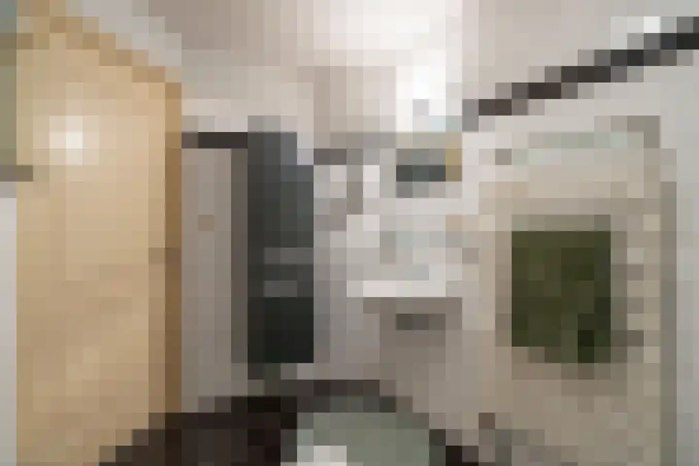 Hamburgerstraat 27 B Utrecht thumbnail 27
