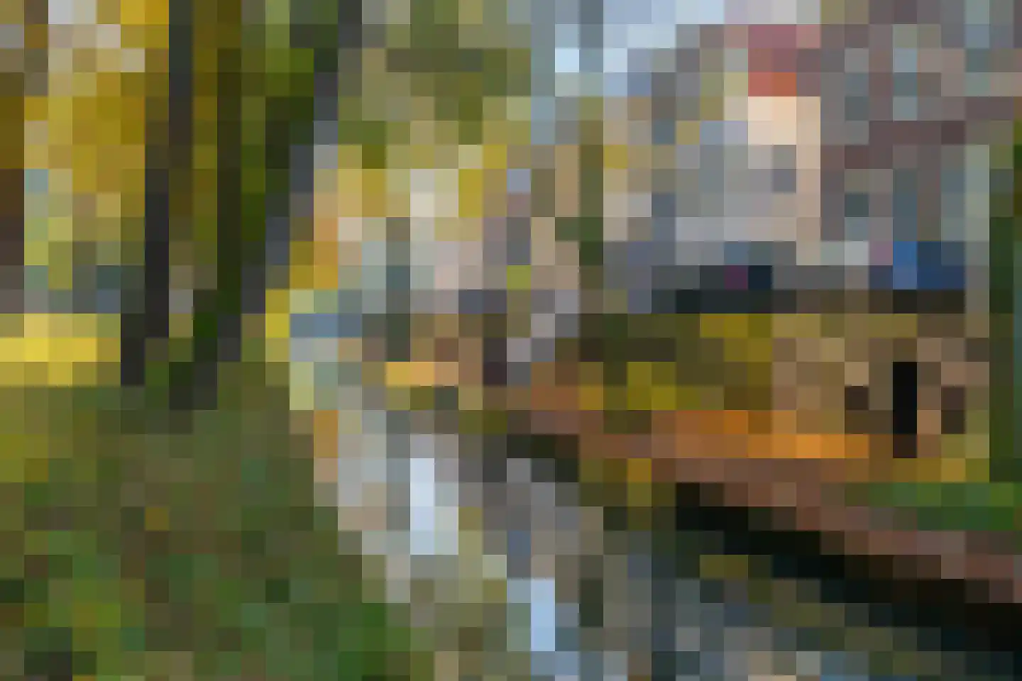 Hamburgerstraat 27 B Utrecht thumbnail 37