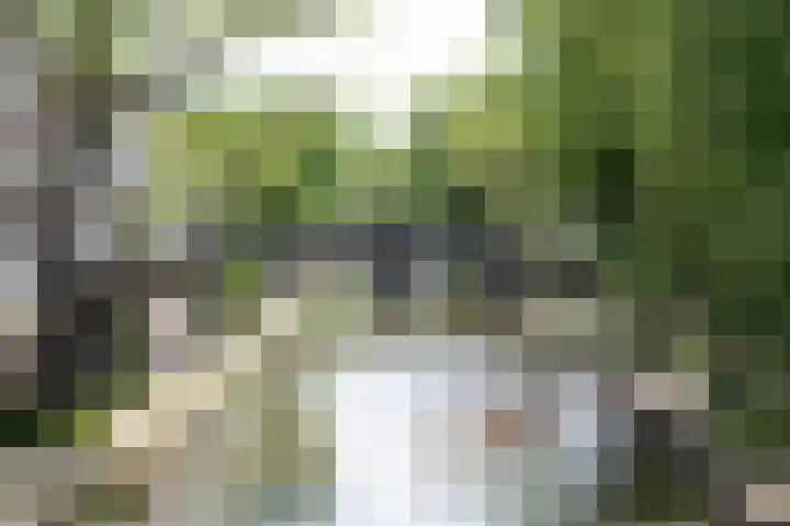 Hamburgerstraat 27 B Utrecht thumbnail 39