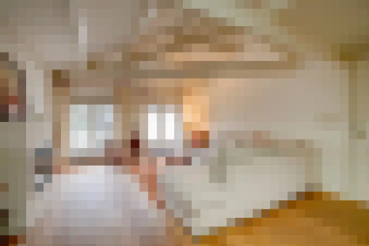 Hamburgerstraat 27 B Utrecht thumbnail 9