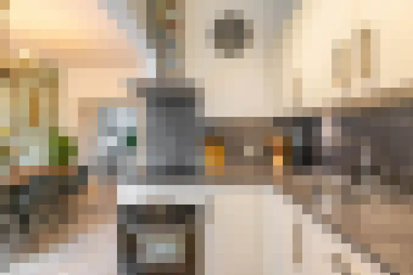 Hamburgerstraat 3 Groningen thumbnail 19