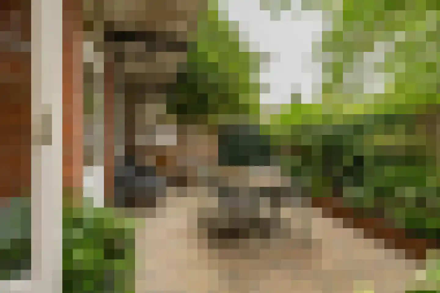 Hamburgerstraat 3 Groningen thumbnail 22