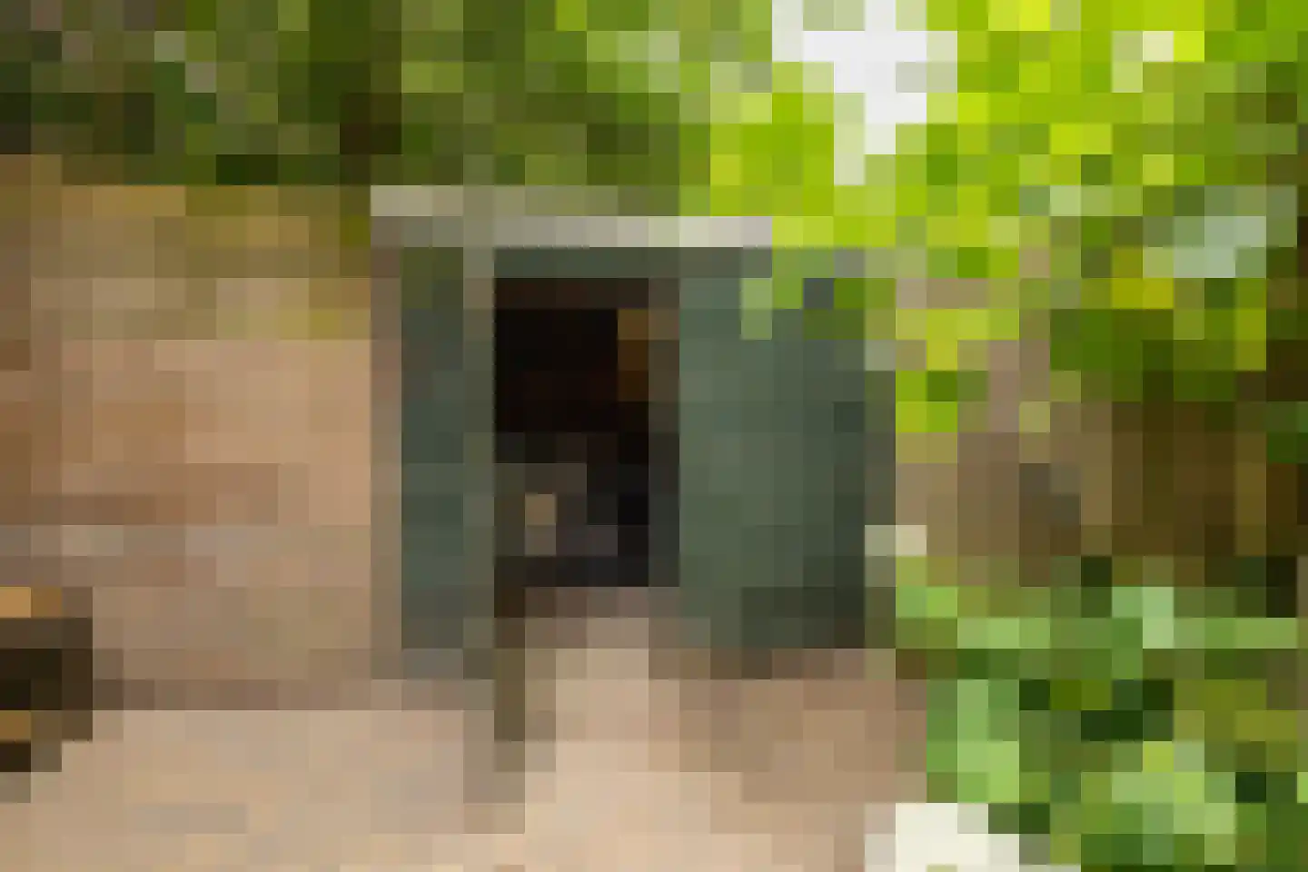 Hamburgerstraat 3 Groningen thumbnail 23