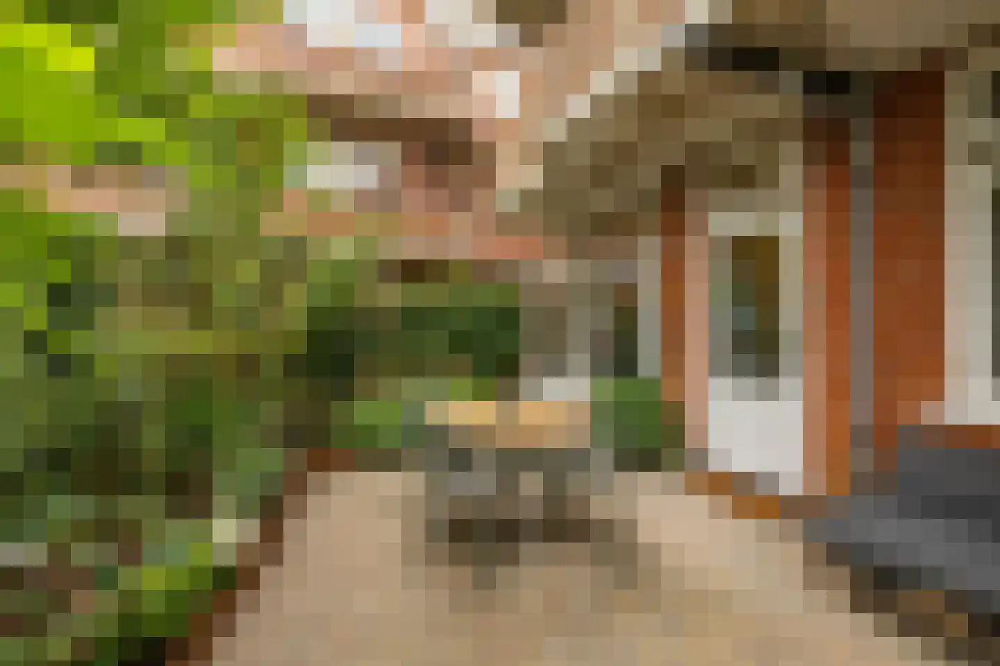 Hamburgerstraat 3 Groningen thumbnail 25
