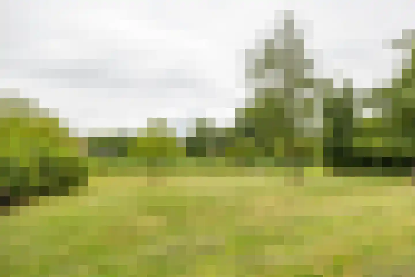 Hamburgerstraat 3 Groningen thumbnail 38