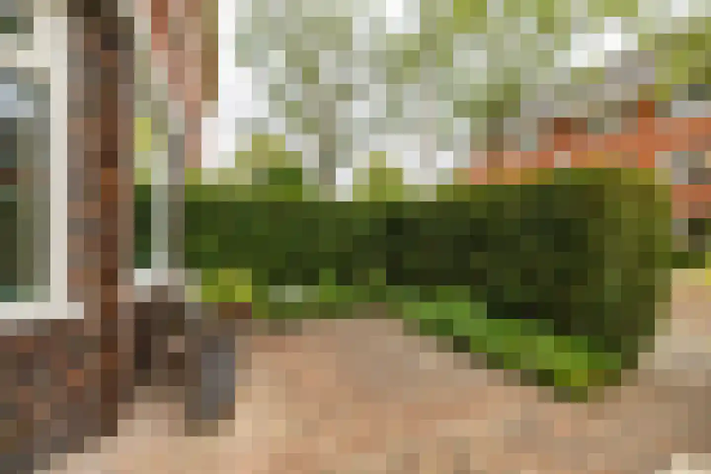 Hamburgerstraat 3 Groningen thumbnail 5