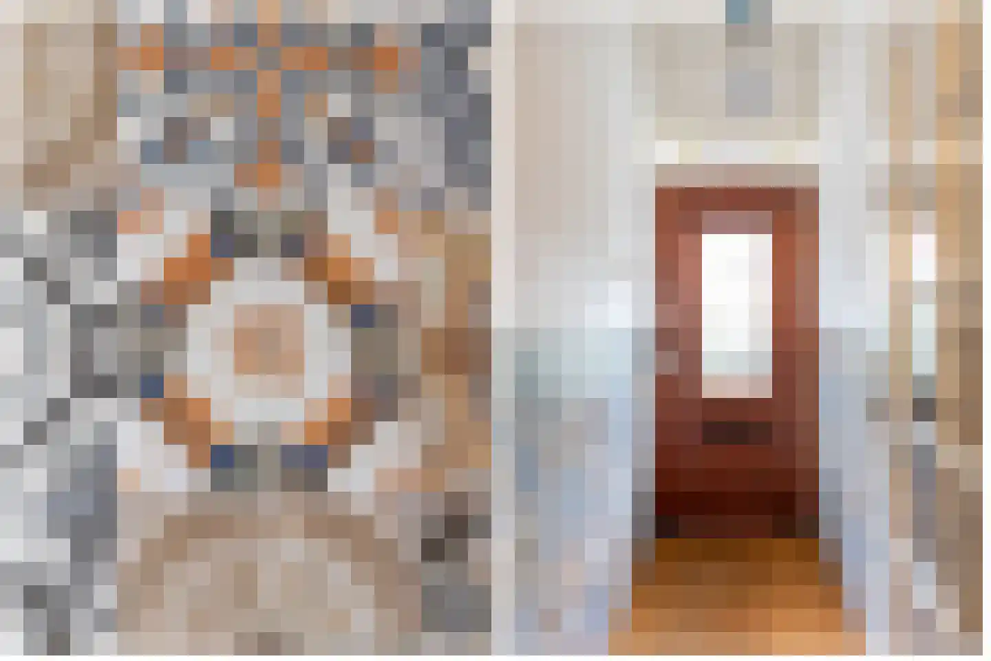 Hamburgerstraat 3 Groningen thumbnail 7