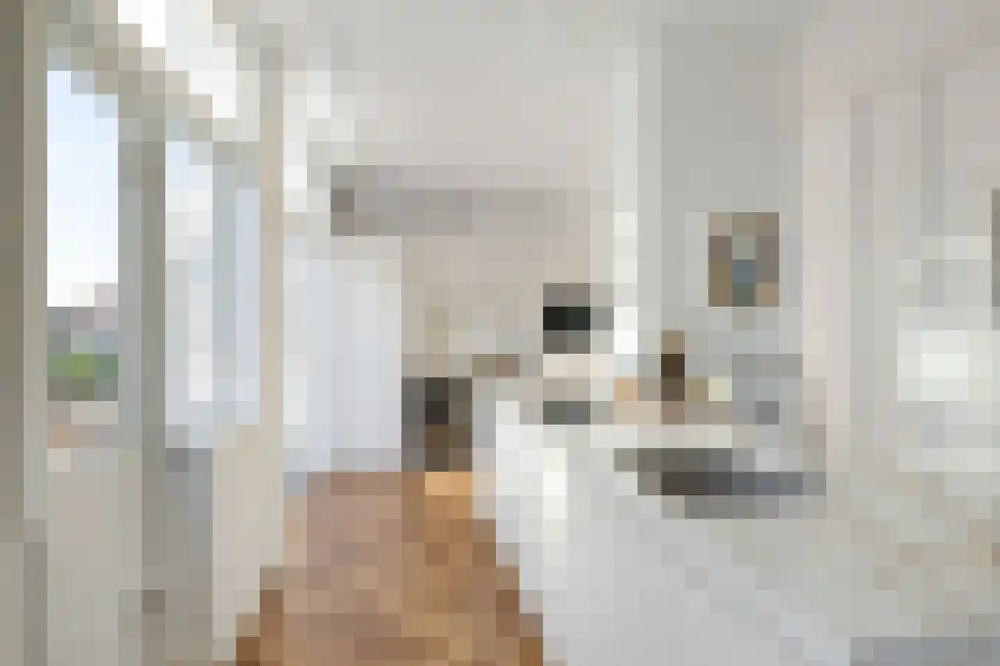 Hamburgerstraat 36 b Groningen thumbnail 24