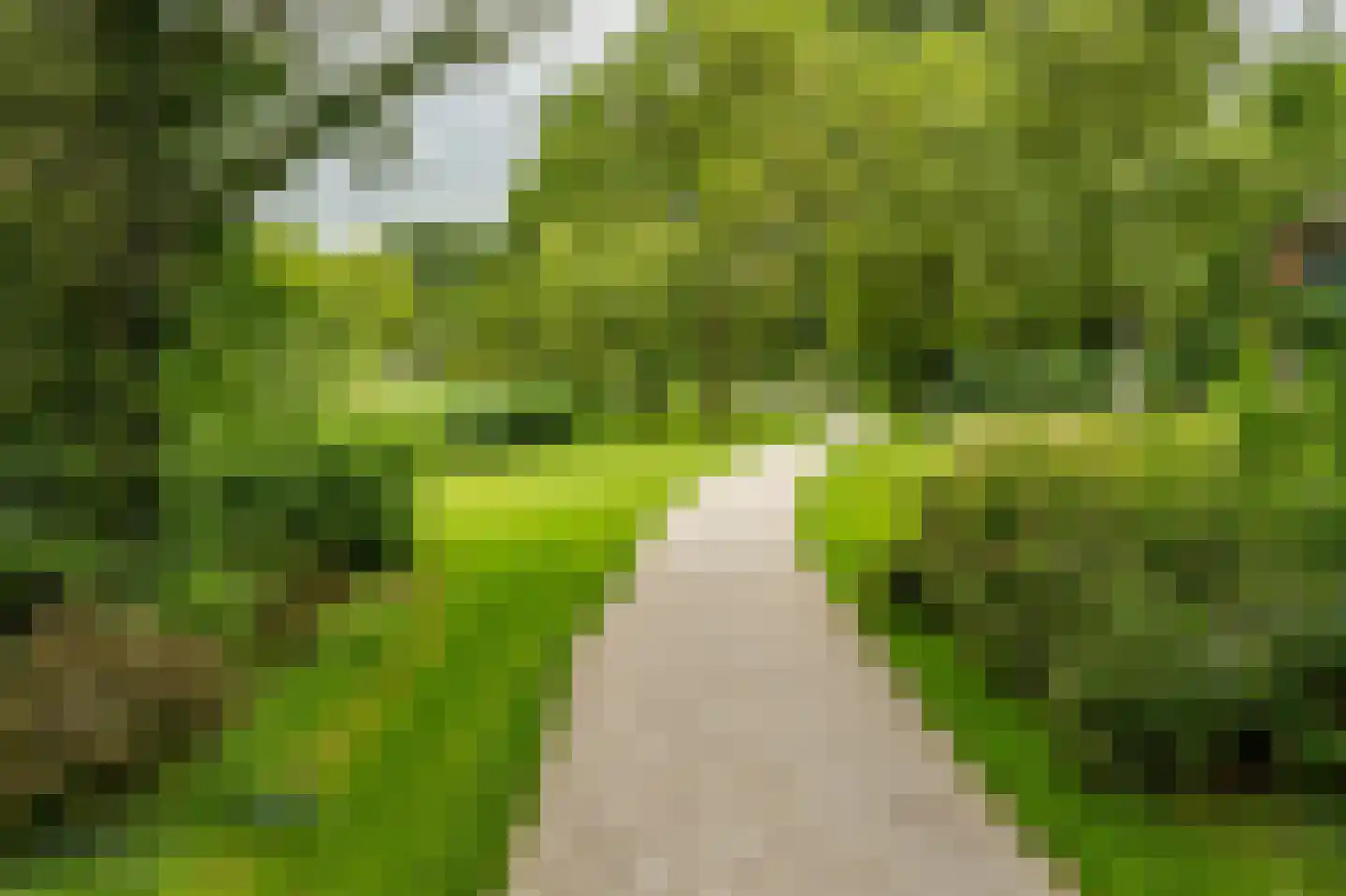 Hamburgerstraat 4 Groningen thumbnail 29