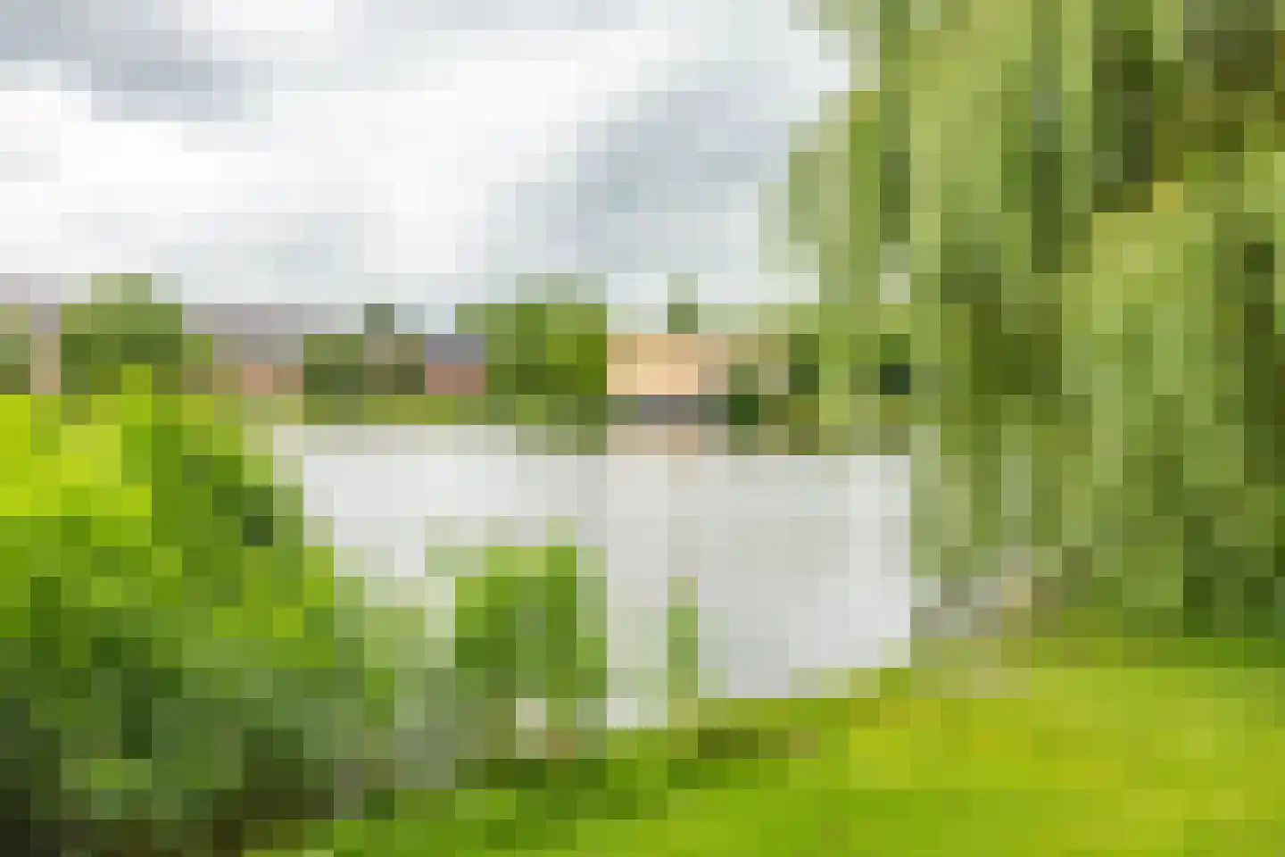 Hamburgerstraat 4 Groningen thumbnail 30