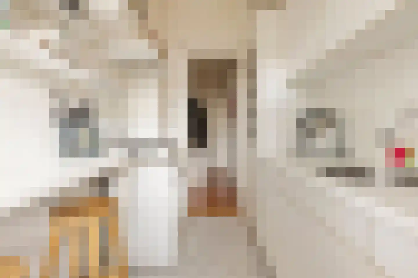 Hamburgerstraat 48 a Groningen thumbnail 15