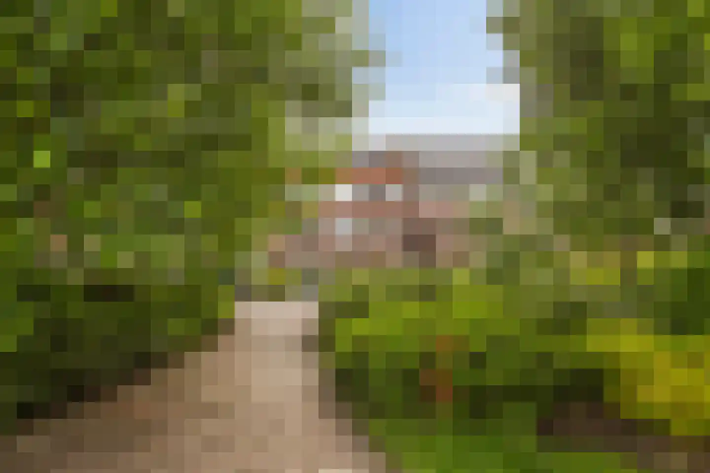 Hamburgerstraat 48 a Groningen thumbnail 22