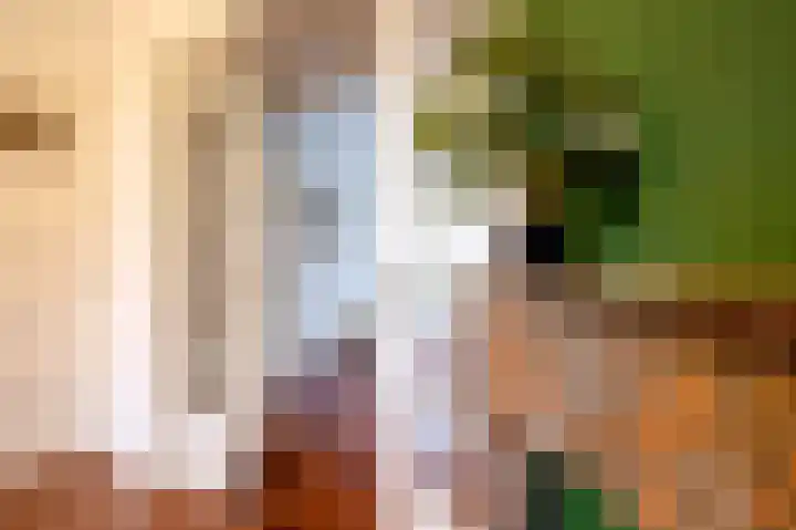 Hamburgerstraat 6 Groningen thumbnail 17