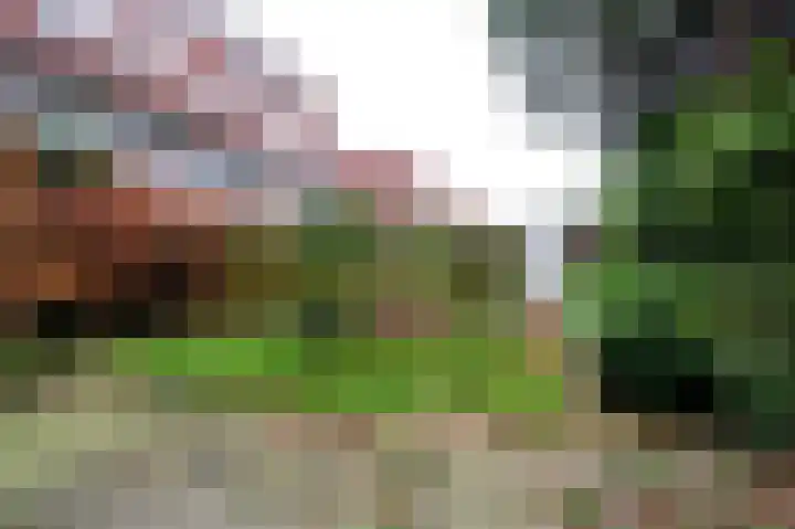 Hamburgerstraat 6 Groningen thumbnail 32