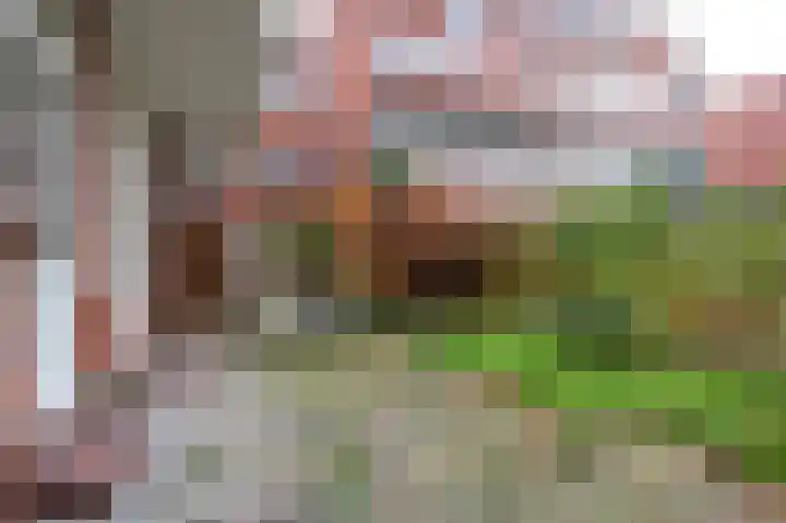 Hamburgerstraat 6 Groningen thumbnail 33