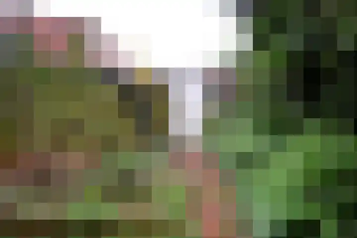 Hamburgerstraat 6 Groningen thumbnail 34