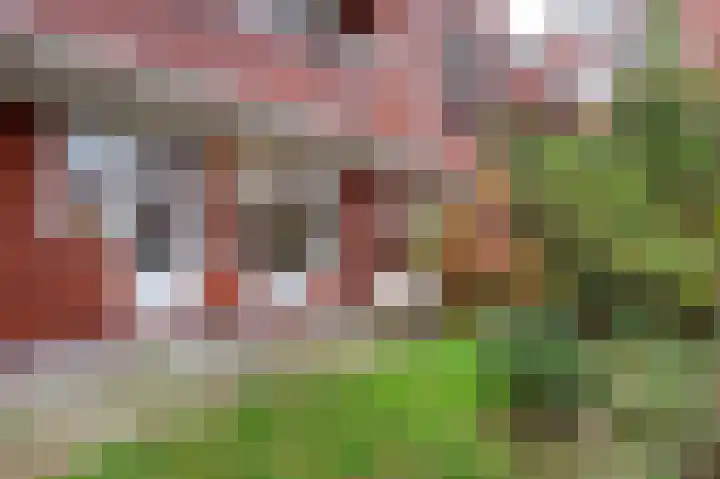 Hamburgerstraat 6 Groningen thumbnail 36
