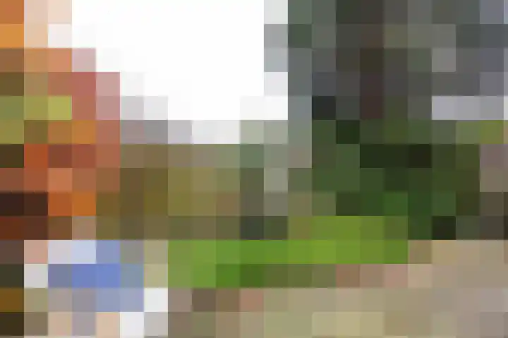 Hamburgerstraat 6 Groningen thumbnail 37