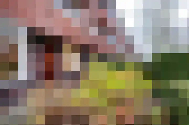 Hamburgerstraat 6 Groningen thumbnail 38
