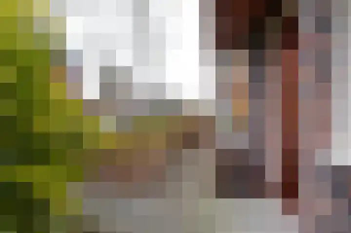 Hamburgerstraat 6 Groningen thumbnail 40