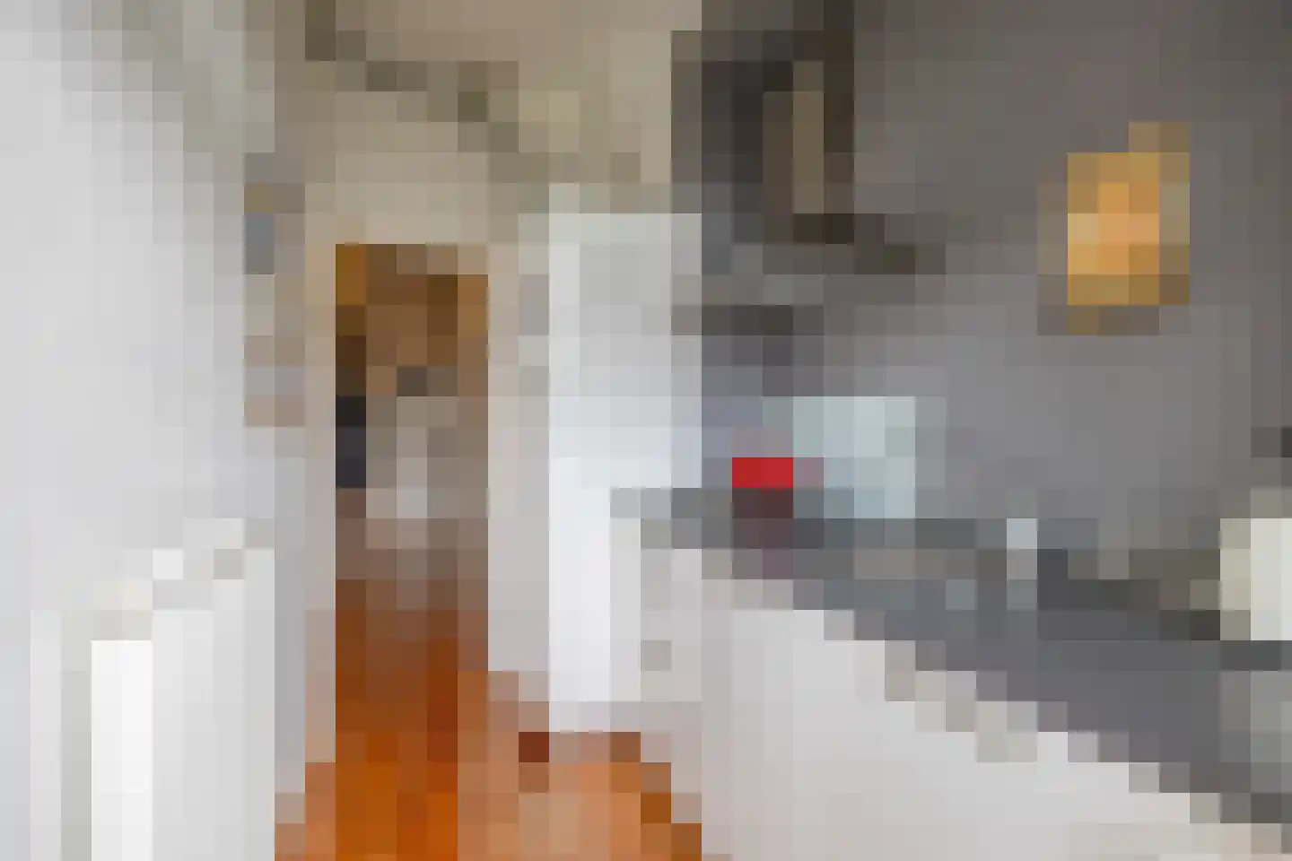 Hamburgerstraat 7 a Groningen thumbnail 27