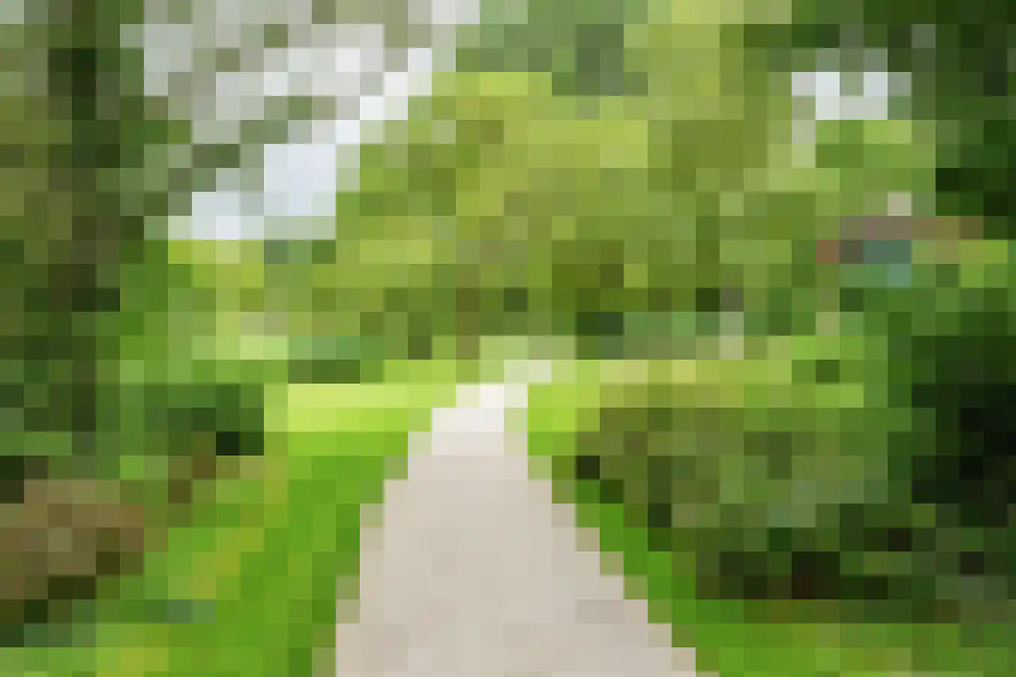 Hamburgerstraat 7 a Groningen thumbnail 31