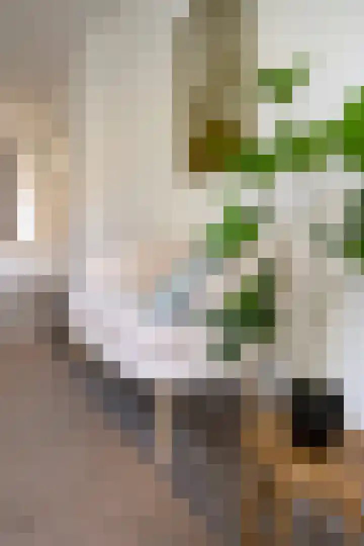 Hamburgerstraat 72 Groningen thumbnail 7