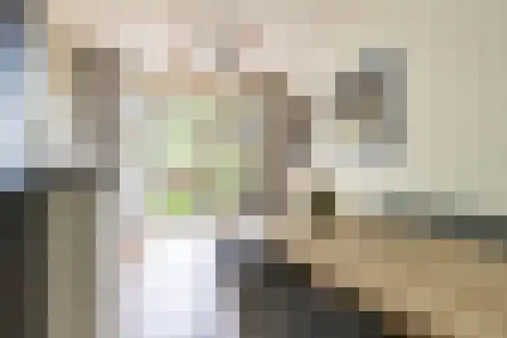 Hamburgerstraat 9 Groningen thumbnail 13