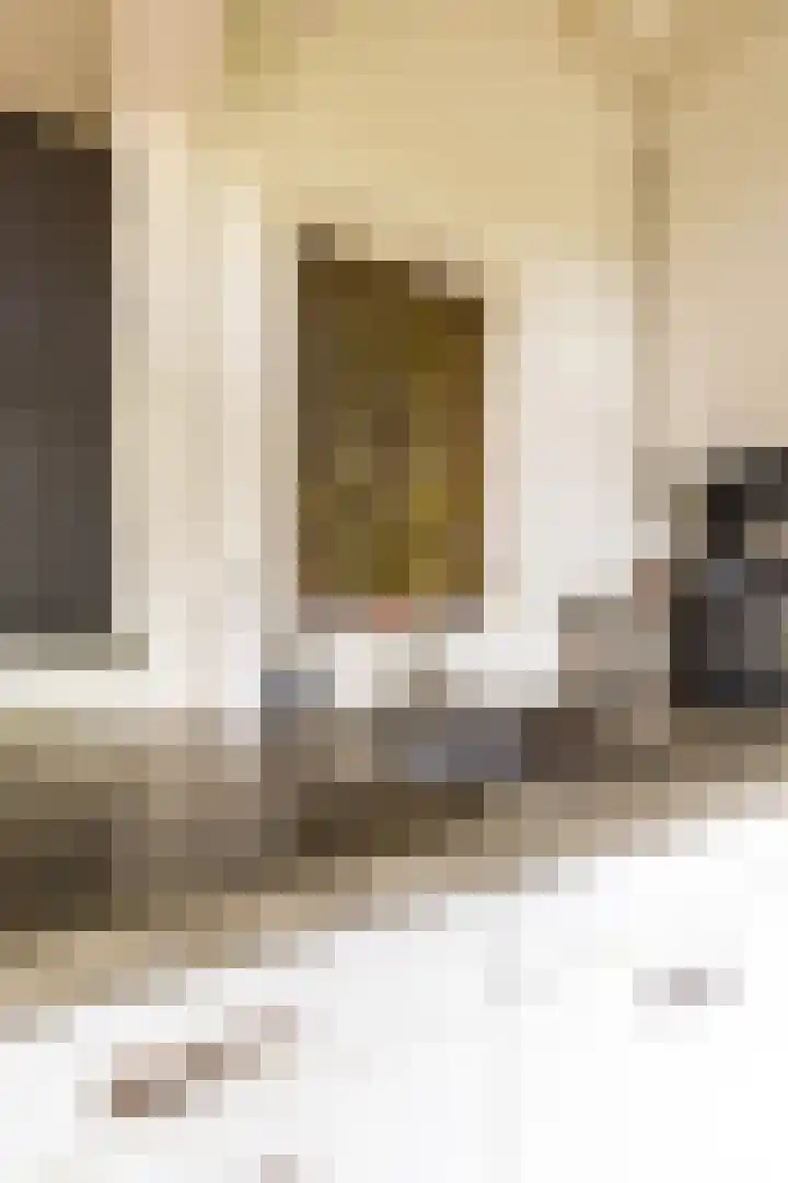 Hamburgerstraat 9 Groningen thumbnail 16