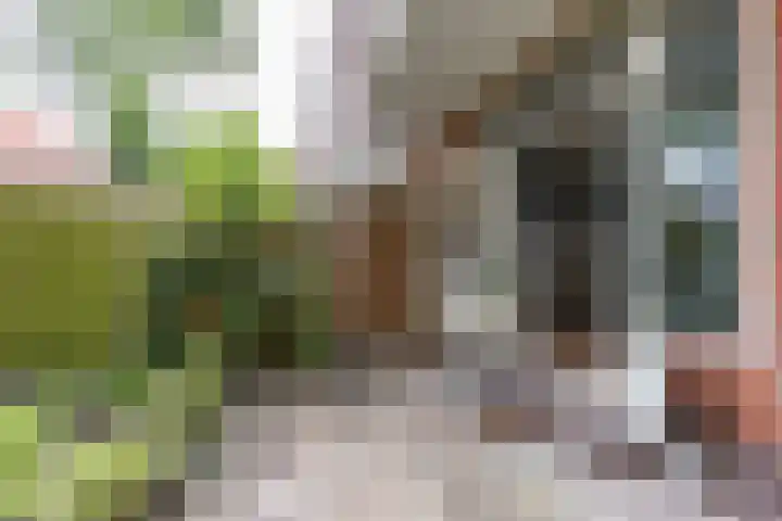 Hamburgerstraat 9 Groningen thumbnail 29