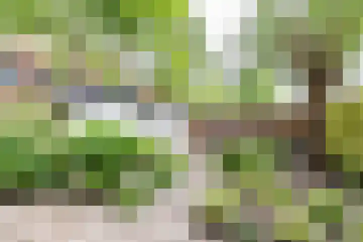 Hamburgerstraat 9 Groningen thumbnail 30