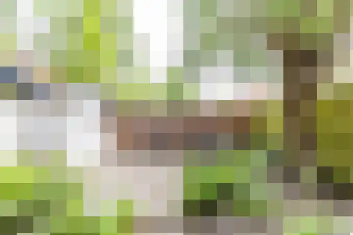 Hamburgerstraat 9 Groningen thumbnail 31