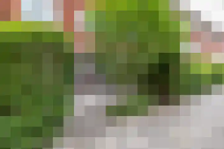 Hamburgerstraat 9 Groningen thumbnail 33