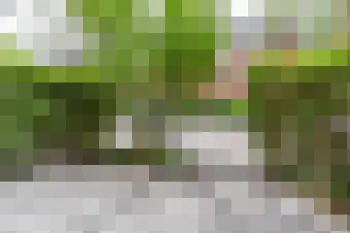 Hamburgerstraat 9 Groningen thumbnail 34