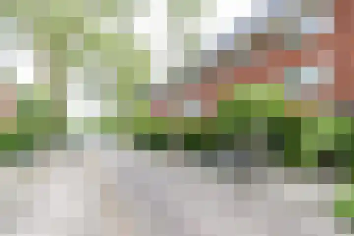 Hamburgerstraat 9 Groningen thumbnail 35