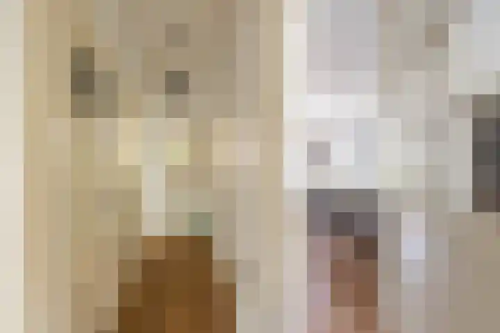 Hamburgerstraat 9 Groningen thumbnail 8