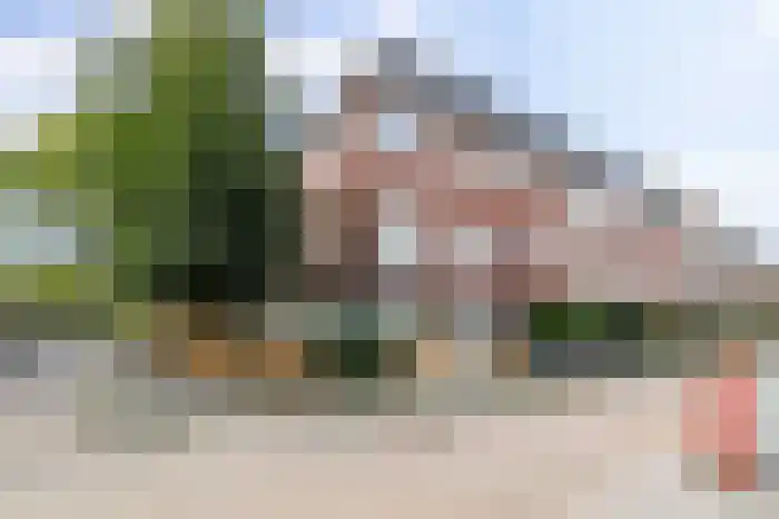 Hamburgerstraat Groningen thumbnail 8