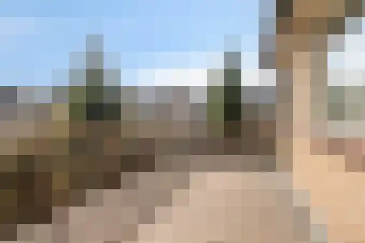 Hamburgerweg 61 Ermelo thumbnail 18