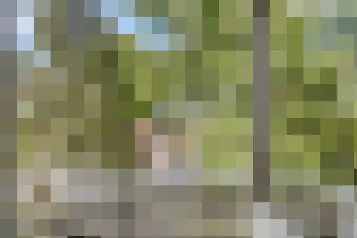 Hamburgerweg 61 Ermelo thumbnail 27