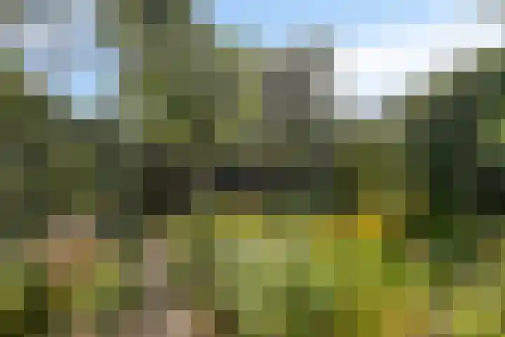 Hamburgerweg 61 Ermelo thumbnail 31