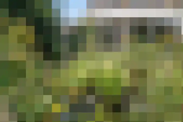 Hamburgerweg 61 Ermelo thumbnail 32
