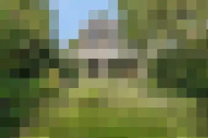 Hamburgerweg 61 Ermelo thumbnail 33