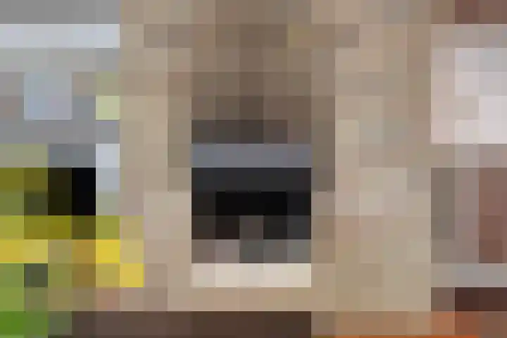 Hamburgerweg 61 Ermelo thumbnail 8