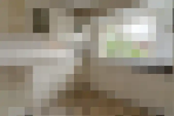 Hamburgerweg 8 Ermelo thumbnail 10