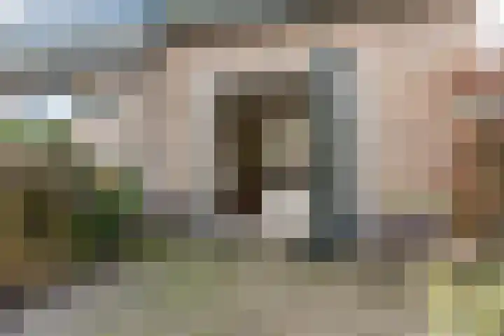 Hamburgerweg 8 Ermelo thumbnail 35