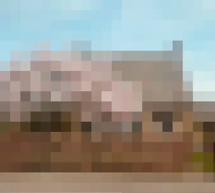 Hamburgerweg 8 Ermelo thumbnail 5