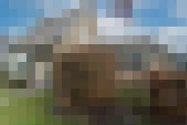 Hamburgerweg 8 Ermelo thumbnail 6